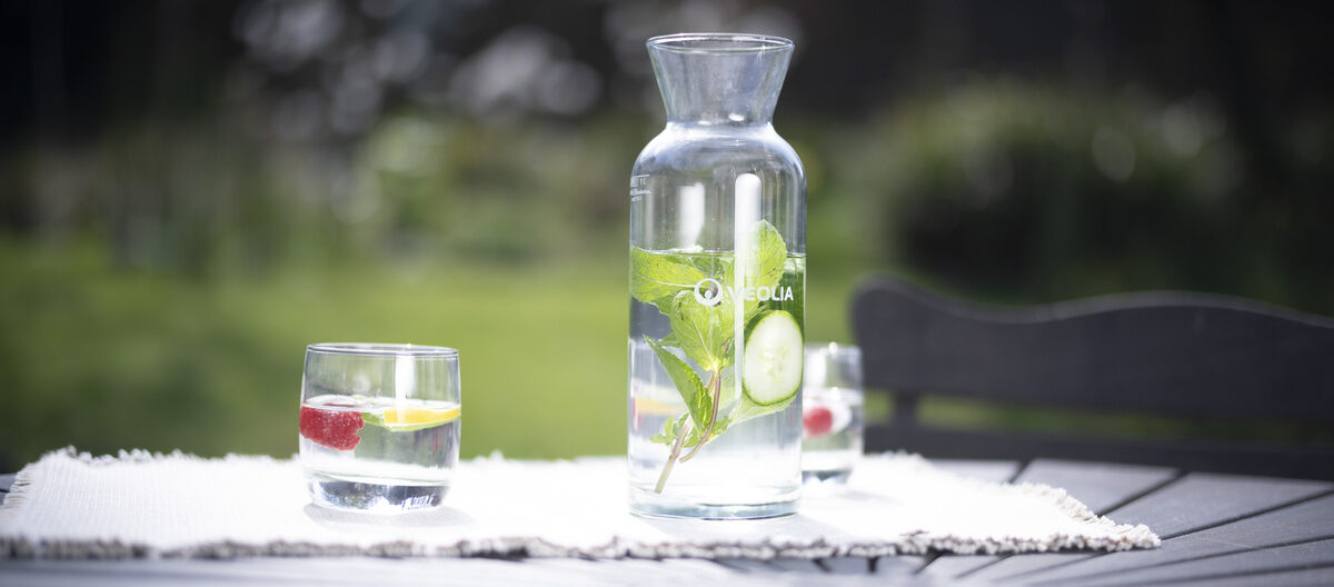 Image illustrant une carafe VEOLIA posée sur une table